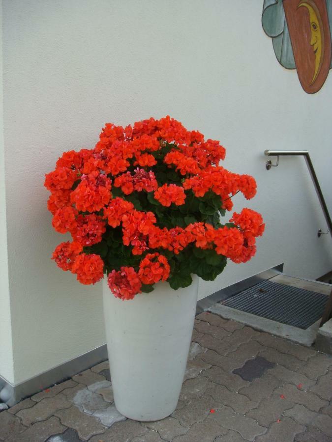 B&B Haus Gruener Olang Exterior photo